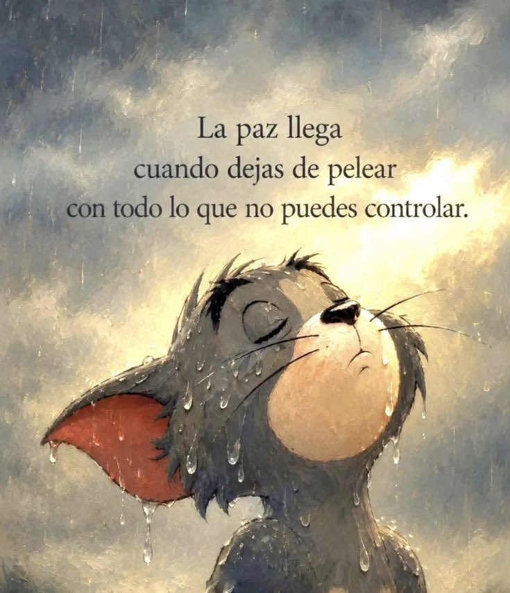 monicaroena's tweet photo. A veces solo necesitamos un momento de calma para recordar quiénes somos y hacia dónde vamos.

Estas 4 imágenes son un recordatorio suave:
• Confía en tu proceso  
• Honra tu ritmo  
• Sigue aunque sea despacio  
• Todo está alineándose https://t.co/jEDJHLwFLu