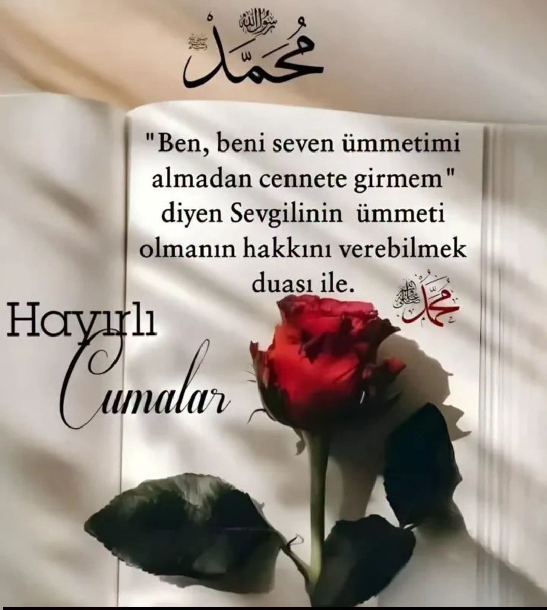 YldzInal1's tweet photo. Hayırlı cumalar 🤲 https://t.co/m6xbhIAEI6