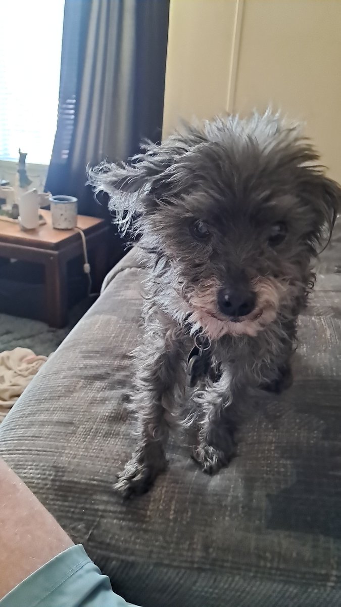 greg_morel38624's tweet photo. @emily_rileys Look at you looking all cute with your puppy dog my Jaybird would like your dog and and I hang out https://t.co/h51jv5WCmW