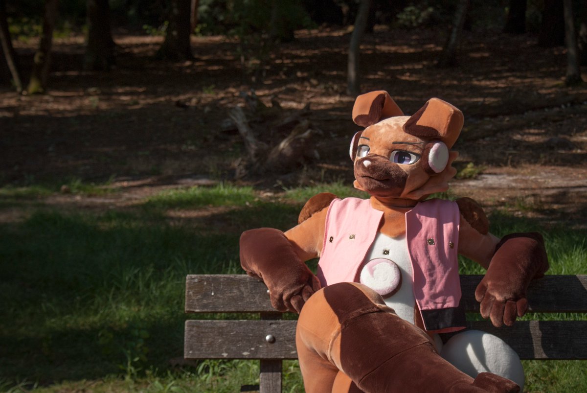 Navi_Ruff's tweet photo. Gotta love nature, a rockruff in his natural habitat~
Good place for a nap~

🪡:@FurpolisCity 
📷:@Faukx 
#FursuitFriday https://t.co/f7hFbfcwcZ