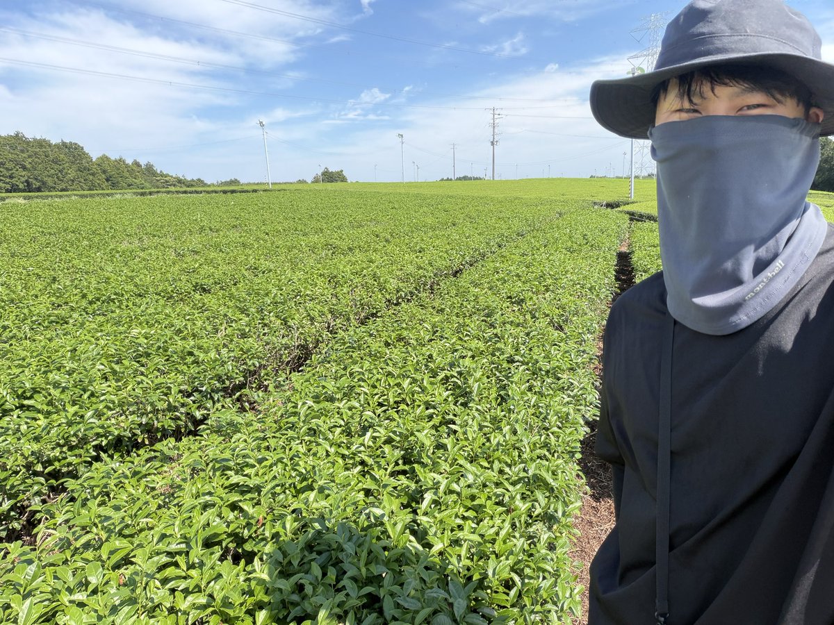 SuckaStewDry's tweet photo. 生産者の顔つき(生産者でゎない) https://t.co/lmkHEW8wUE
