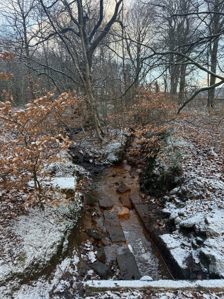 Christabelleumx's tweet photo. nature’s best work https://t.co/cyCznzppmq