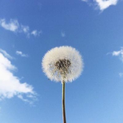 mistywest74's tweet photo. Diversity is the current that powers progress, carrying us toward a brighter future. Let’s ride the wave together.  DiversityIsStrength Unity 🎁 🎈 🌐 https://t.co/YUp29B3FoG