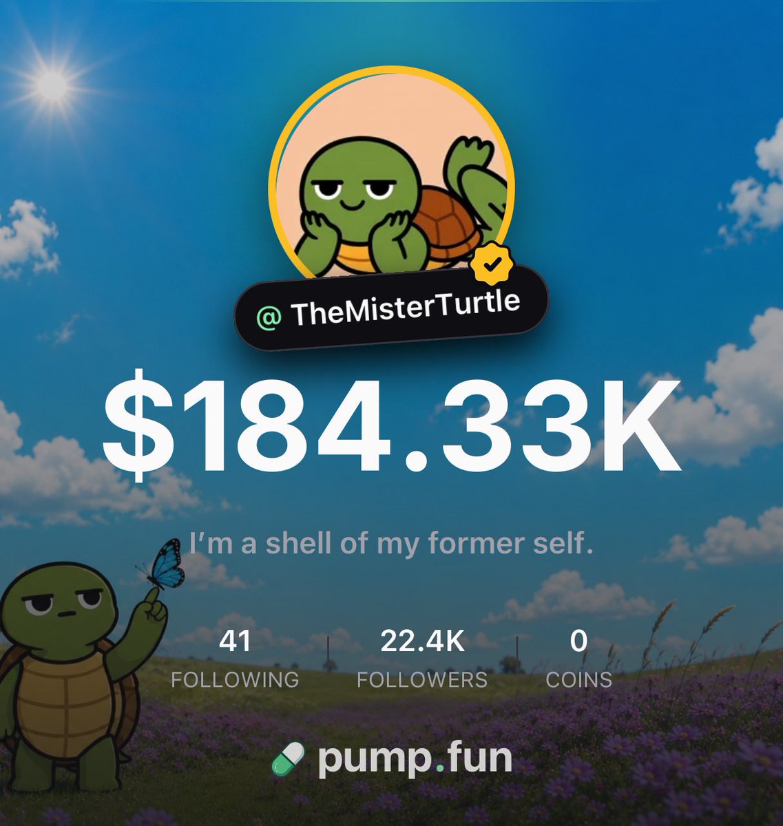 Mr. Turtle tweet media