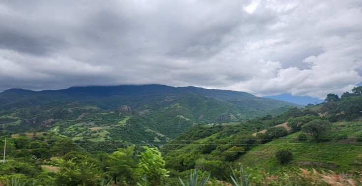 RaicesyConex's tweet photo. ¿Tu tierra trabaja de forma circular? En México eso ya se puede convertir en ingresos reales.Los mercados de carbono y la regeneración de suelos abren oportunidades para ejidos y productores. Lee el análisis en: https://t.co/Lq8Yjvx4Ur #CampoMexicano #Sostenibilidad #Agrario https://t.co/vAfbuCX7r5