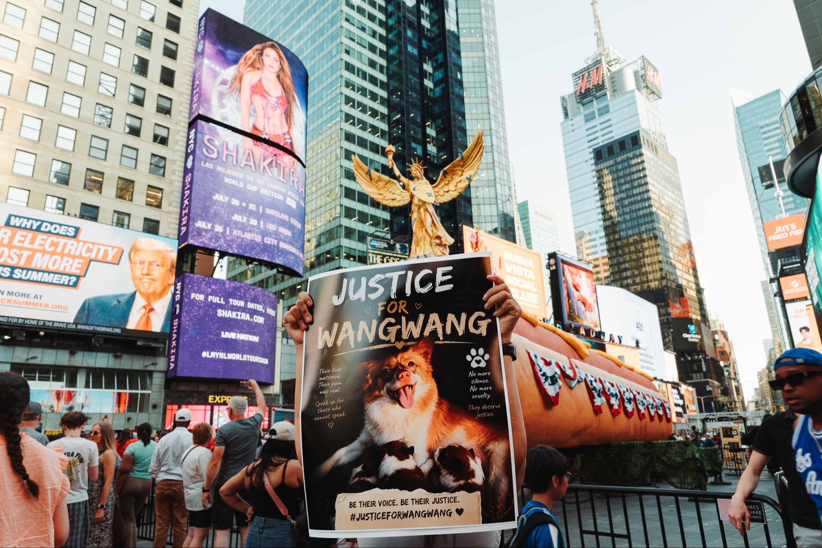 Nancenjo's tweet photo. another day, in NYC, missing wangwang. We will not give up talking about wangwang.
#justiceforwangwang https://t.co/vYZL2L8orB