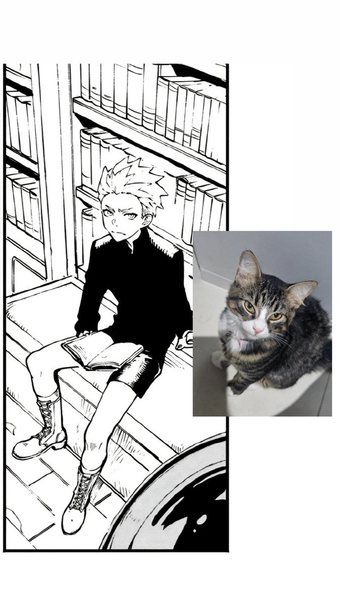 BlueConsort's tweet photo. My cat and smoll Vergil sync 🙂‍↕️😂 https://t.co/7BYOlSTTq3