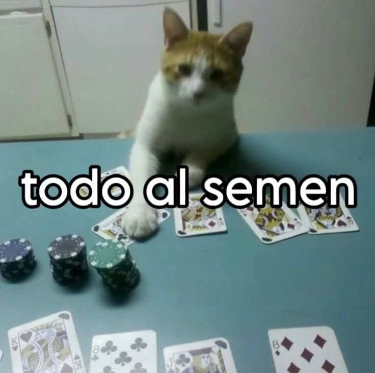ostherWal's tweet photo. Cómo rompo el internet pibes? https://t.co/KT1GEFrzoG