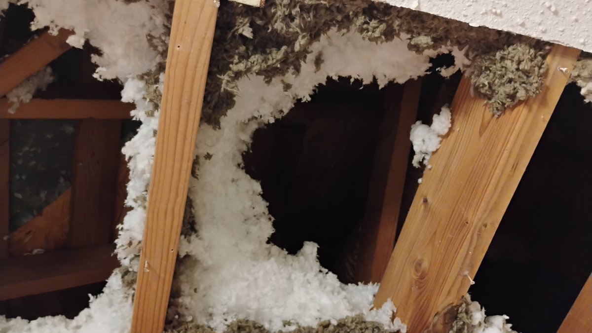 SoulShepherdTK's tweet photo. Just a couple years ago my ceiling collapsed on me and my streaming setup. I couldn't walk and my hands were damaged. I had trouble breathing due to the insulation. Now I am back to exercising and I just turned 33. I am just thankful for the days ahead. https://t.co/jnRfee3Qzv