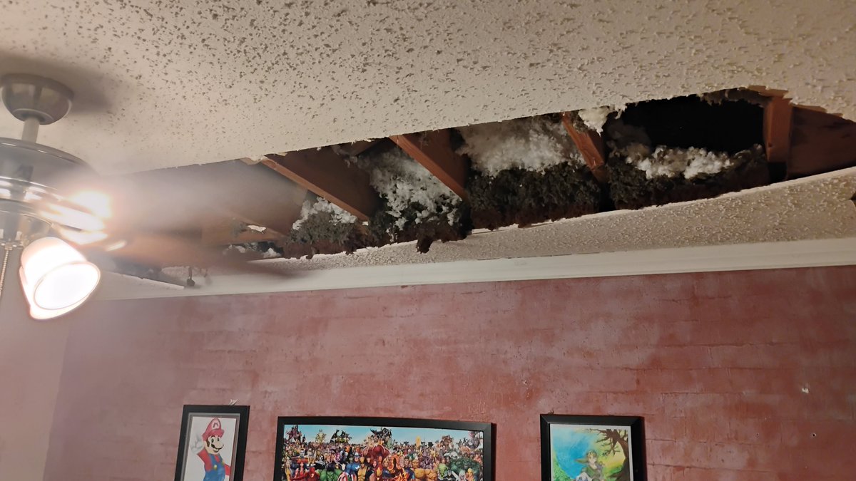 SoulShepherdTK's tweet photo. Just a couple years ago my ceiling collapsed on me and my streaming setup. I couldn't walk and my hands were damaged. I had trouble breathing due to the insulation. Now I am back to exercising and I just turned 33. I am just thankful for the days ahead. https://t.co/jnRfee3Qzv