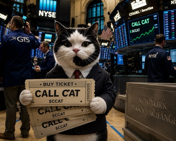 CallCatCoinSol's tweet photo. $CALLCAT going commercial https://t.co/2tfVl6gHdI