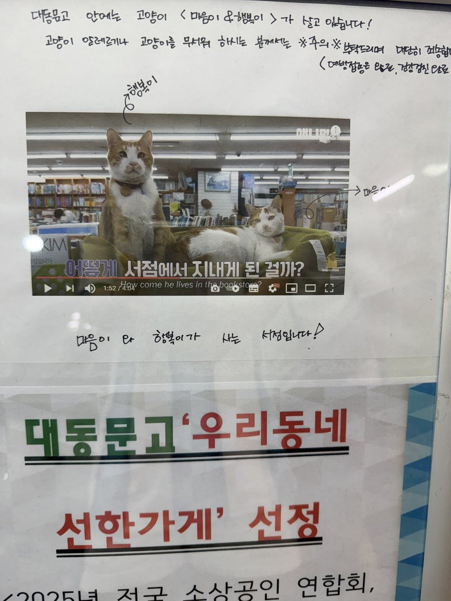 nataliebangg's tweet photo. 병든 길고양이 입원치료도 해주고 입양해서 오래 살린 안양역 대동문고 너무 감사하다. https://t.co/2xStSNFNfs
