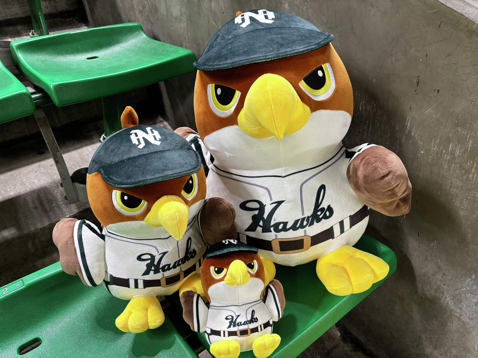 ソフトバンクホークス タカぬい 3体セット 福岡ソフトバンクホークス公式グッズアカウント в X: „／ 📢HAWKS
