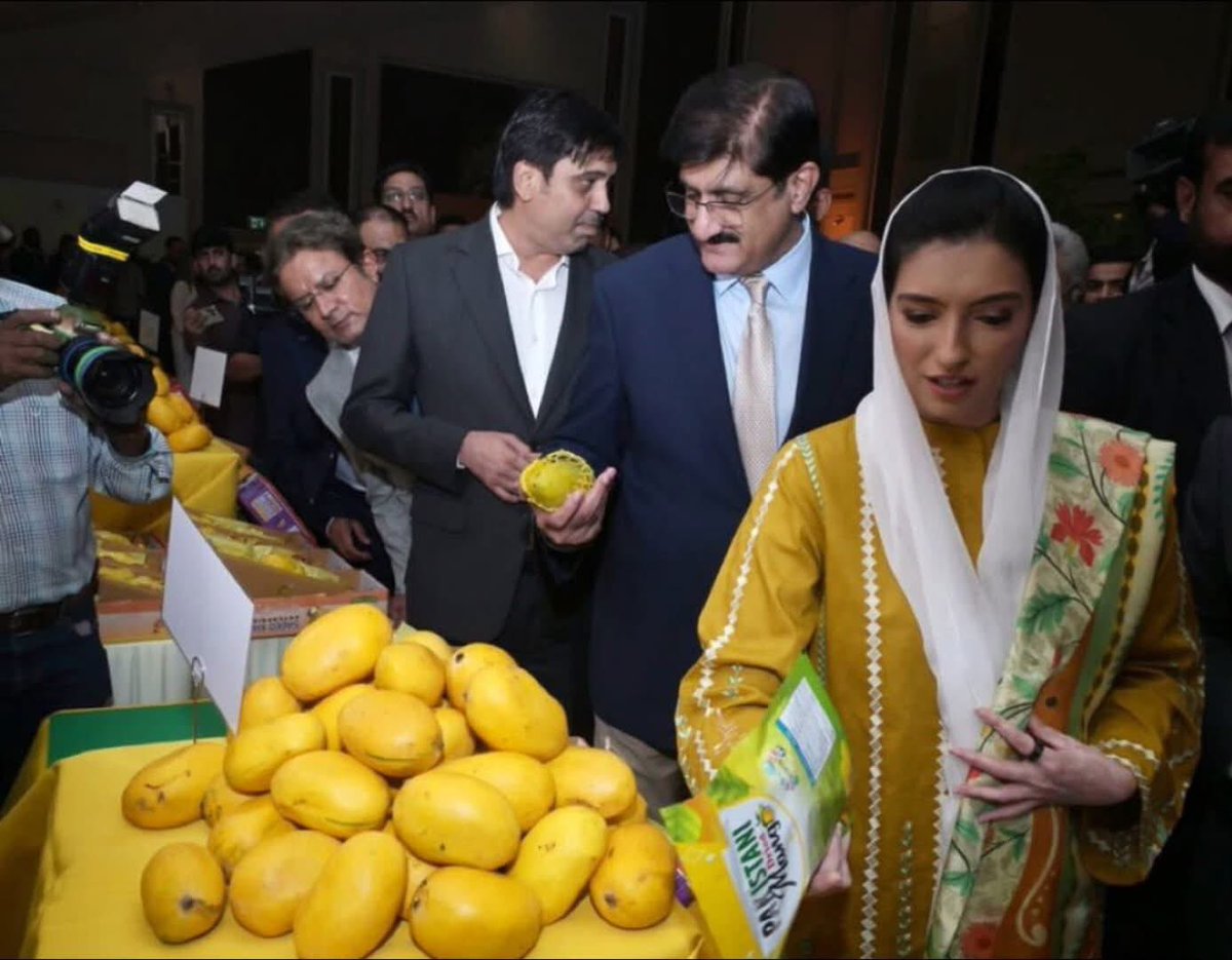 JamsheedAlitai2's tweet photo. First Lady of Pakistan Bibi @AseefaBZ attended the Mango Diplomacy Festival 2026, organised by the Foreign Affairs Liaison Office (FALO), Karachi. 🥭💛 https://t.co/k8e1ORkDfy