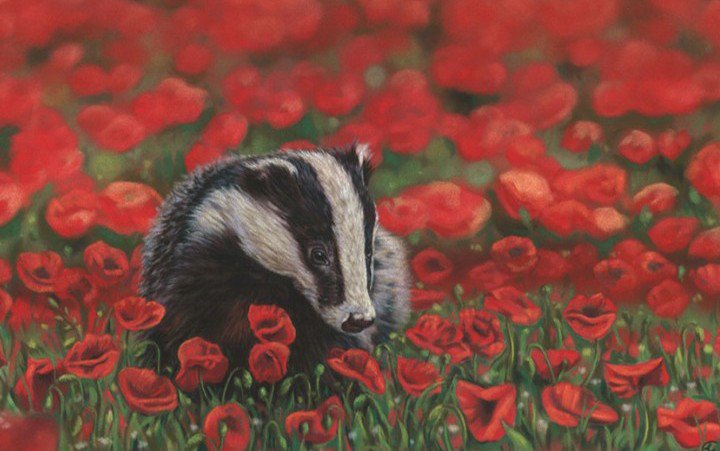 asummerghost's tweet photo. sett in scarlet.

art by

© emma colbert https://t.co/T62W0S5uUe