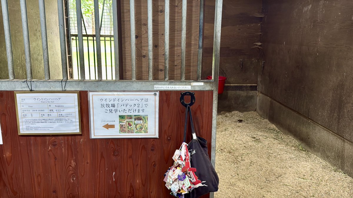 SS_Meiji's tweet photo. 今年も会えてよかった

35歳となったウインドインハーヘア

偉大にもほどがある

ディープインパクト（母ウインドインハーヘア）
キタサンブラック（父母ウインドインハーヘア
イクイノックス（父父母ウインドインハーヘア）
ステレンボッシュ（3代母ウインドインハーヘア）
レイデオロ（3代母ウインドインハーヘア）
レガレイラ（3代母ウインドインハーヘア）
