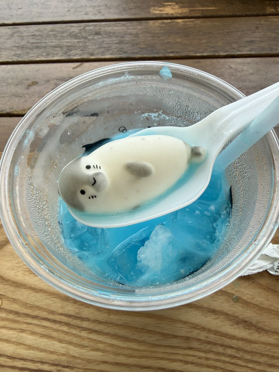 GacchiRika's tweet photo. 京都水族館のアザラシのソーダ
めっちゃかわいい🩷 https://t.co/TNEGf1Au4i