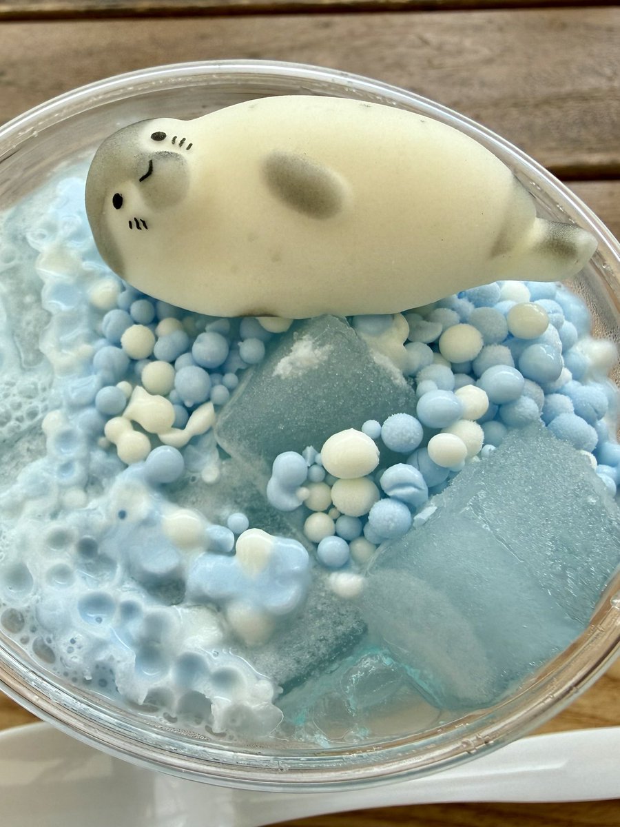 GacchiRika's tweet photo. 京都水族館のアザラシのソーダ
めっちゃかわいい🩷 https://t.co/TNEGf1Au4i