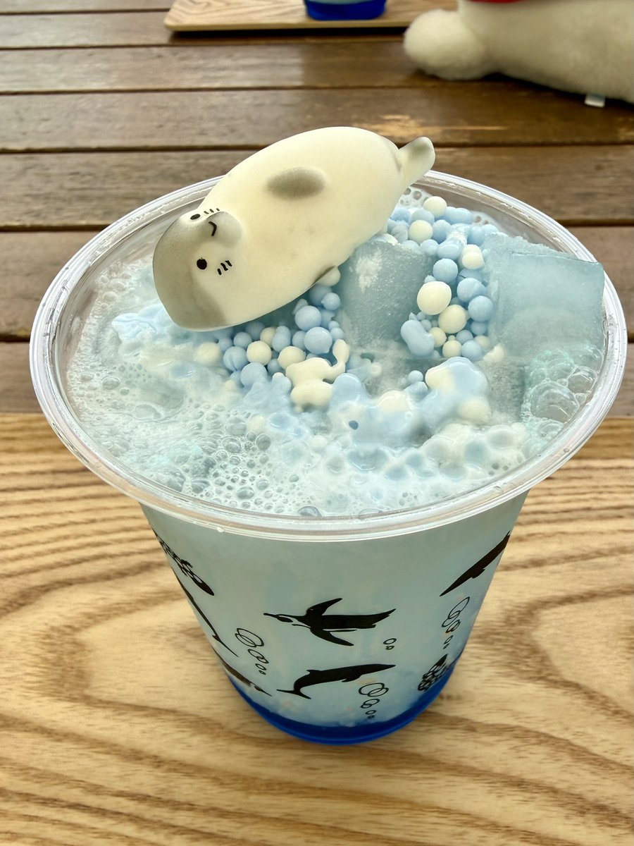 GacchiRika's tweet photo. 京都水族館のアザラシのソーダ
めっちゃかわいい🩷 https://t.co/TNEGf1Au4i