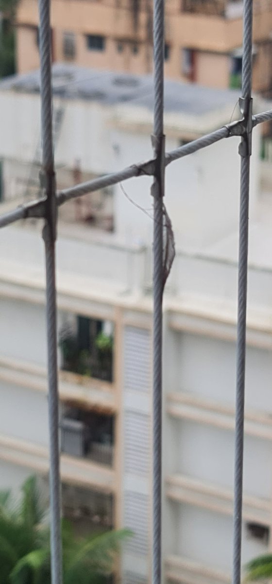 Sandha195's tweet photo. Residents of Surya CHSL,KEward, facing repeated hygiene nuisance, dirty water &amp; pigeon excreta thrown from a flat above onto our windows/balconies. Housing society has failed to act despite repeated complaints. Request urgent inspection &amp; action. @mybmc @mybmcWardKE https://t.co/UmxwEsXyGs
