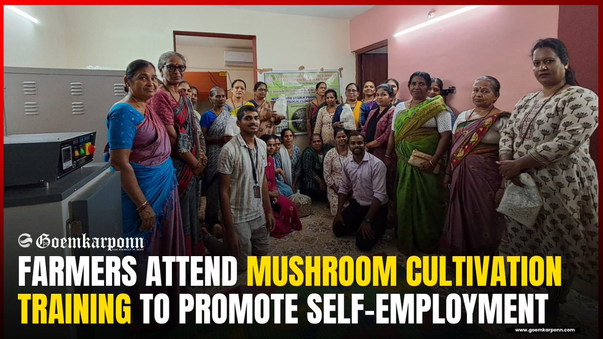 goemkarponnlive's tweet photo. https://t.co/b5lk3JgsrO
43 Farmers Attend Mushroom Cultivation Training at Kasarvarne to Promote Self-Employment
#MushroomCultivation #Kasarvarne #Agriculture #Farmers #SelfEmployment #GoaNews #Goemkarponn #AgricultureTraining #GoaFarmers #SkillDevelopment #RuralDevelopment https://t.co/fQzQ8Syy77
