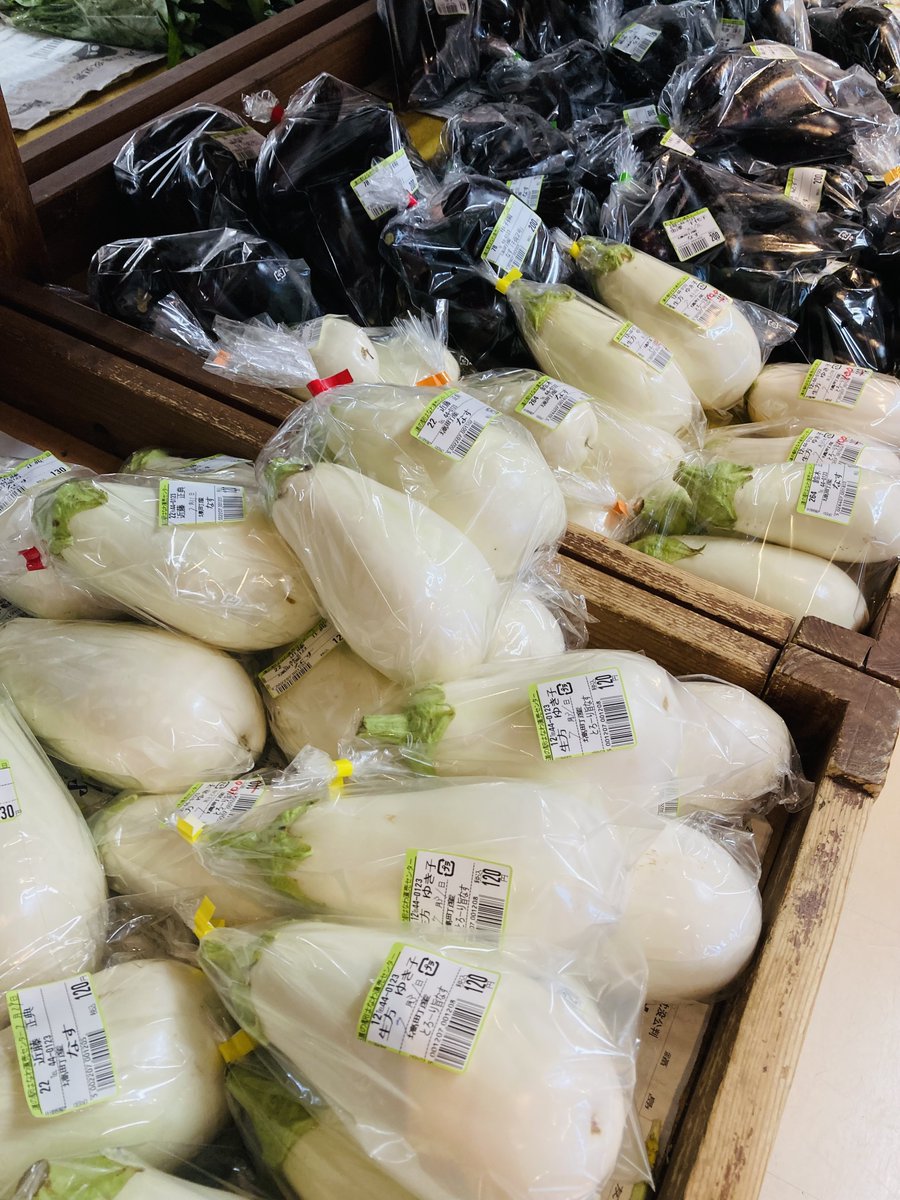 kankohanawa's tweet photo. 【福島県・塙町】令和8年7月31日(金)
道の駅はなわにて白いお野菜発見🧐🙌
気になるー🤤

#福島県 #塙町 #道の駅はなわ #白い野菜 #白いとうもろこし #白いナス https://t.co/0nlHA4QUEC