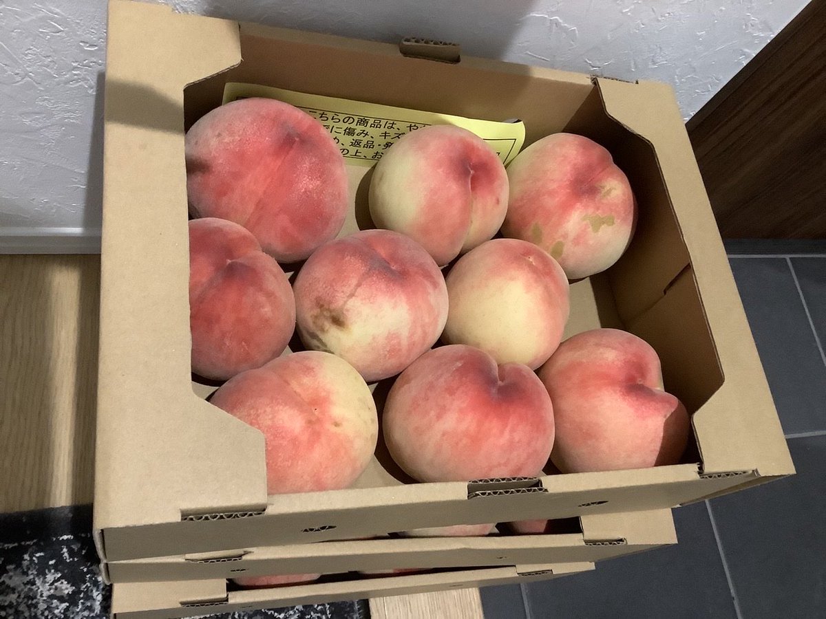 fukushimatweet's tweet photo. ふきげんな桃🍑 https://t.co/LXjC6Rscg9