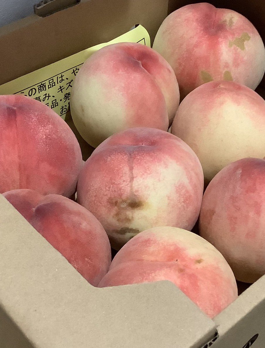 fukushimatweet's tweet photo. ふきげんな桃🍑 https://t.co/LXjC6Rscg9
