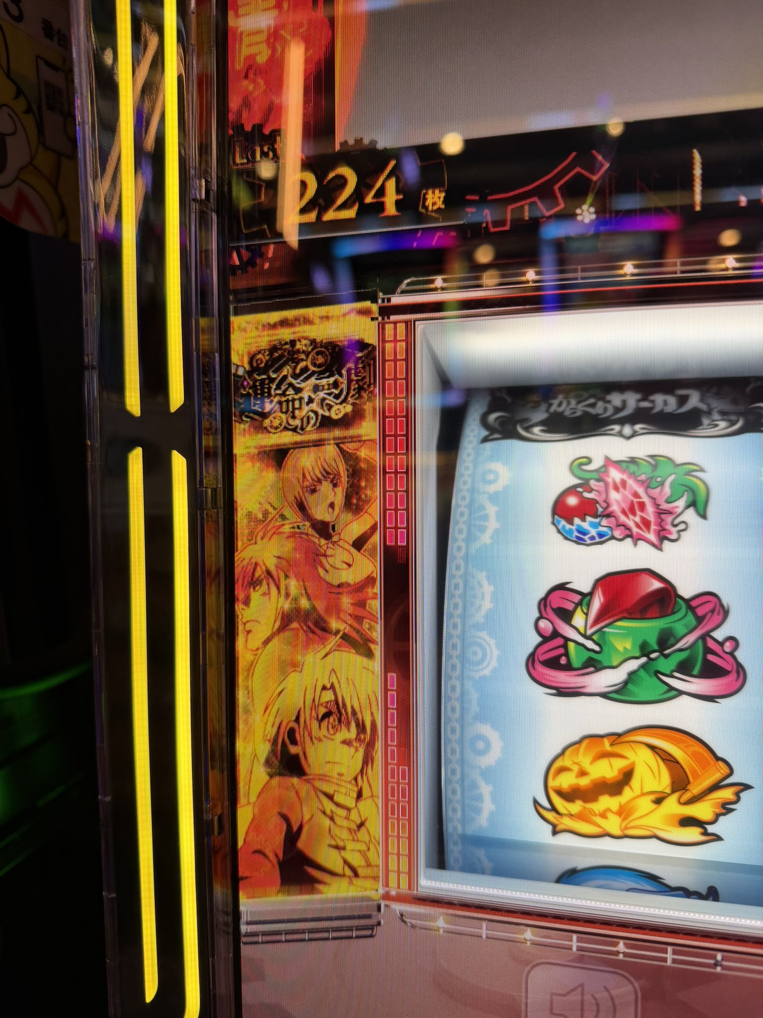 しゅり先生👩‍🏫🐢 on X: 