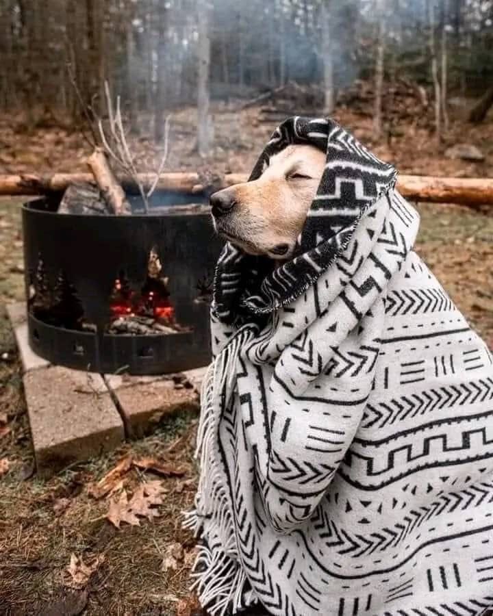 Sandrah_ug's tweet photo. Bushenyi must be the most cold district in Uganda 🥺🥶🥶🥶 https://t.co/Eorm7z7cyb