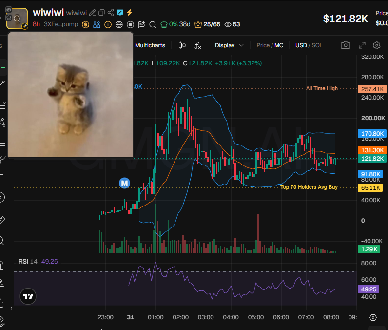badattrading_'s tweet photo. $wiwiwi (CA 3XEe11RMNqNTka33ik2yEmr3siUWmFQWSESP9Ejepump) doesn't have snipers and insiders per devsnightmare. Gampsito, Avemoongod, duval, tdmilky,  hotlneblng, dOOm are top holders.

No major clusters on the bubblemap. CEX cluster has 59.1%, Binance funded wallets have 16.4%, Coinbase 26.3%, Kraken 4.9%, Kucoin 4.7%, Gate 4.2%, Cryptocom 4.2%, Moonpay 3.9%, Bybit 3.6%.

Top 10 holders have 15.9%, 895 holders with an average bag at $135. Nfa