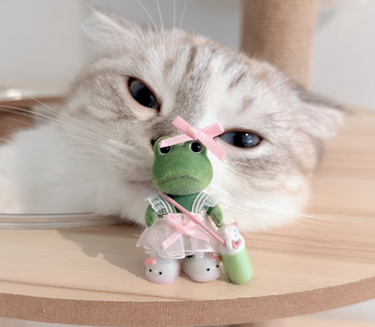 babyzosan's tweet photo. 𖦹°‧.  🎀 𖦹°‧.  
#sylvanianfamilies #sylvanian 
#ตลาดนัดsylvanian #sanrio https://t.co/lbODU5L9QZ