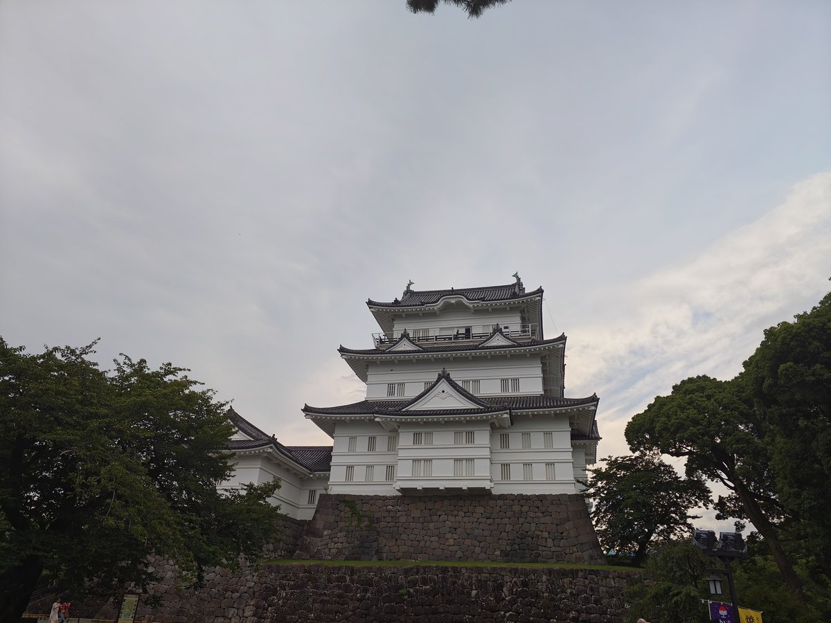 mgrnht's tweet photo. でっか https://t.co/yFaOwHcbs6