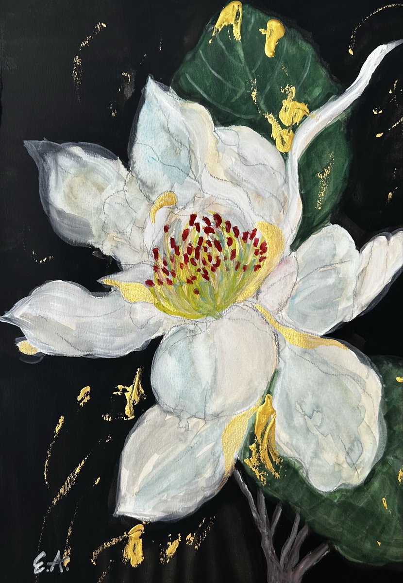 Ebonyborn28's tweet photo. White camellias open

#artwork #drawingart #watercolorart https://t.co/nMSJp06pMw