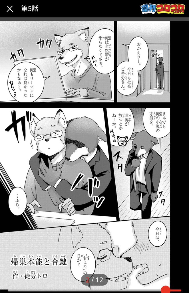toyamatomo's tweet photo. ちなみにこのキャラは普段ケモBL同人を描いてます https://t.co/vwZ5VLue1G