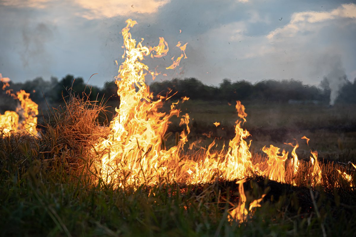 OXIGENsalud's tweet photo. ⚠️ El humo de los #incendios puede afectar a cualquier persona, pero supone un riesgo especialmente para quienes padecen #Asma o #EPOC.
💨 Sus partículas pueden agravar los síntomas y aumentar las visitas a urgencias.
Protege tus pulmones https://t.co/CxFVksAFQA
