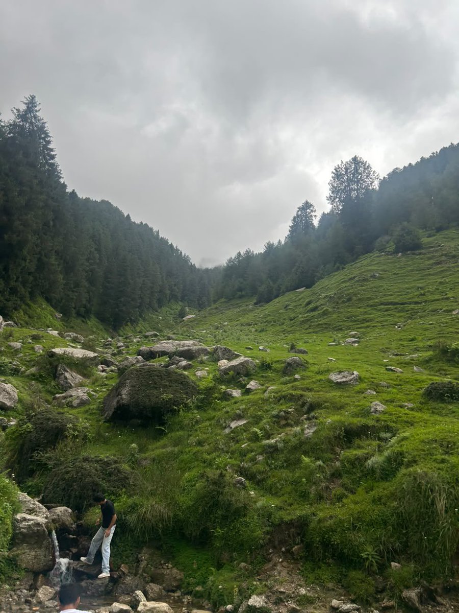Adult_humorr's tweet photo. I am trying to explore forest and experience nature before Adani does https://t.co/HJSiyNfvpd