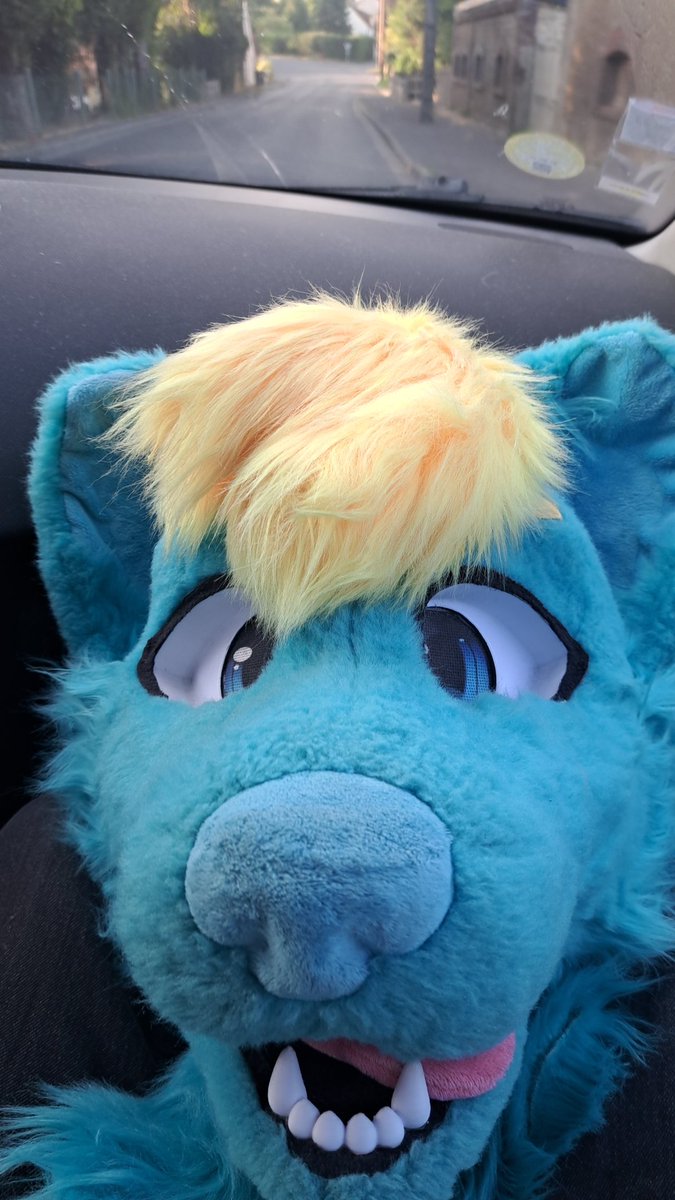 CorentinWolf's tweet photo. Lets goooooo #FurDay ~ https://t.co/YHvCEUIlVz