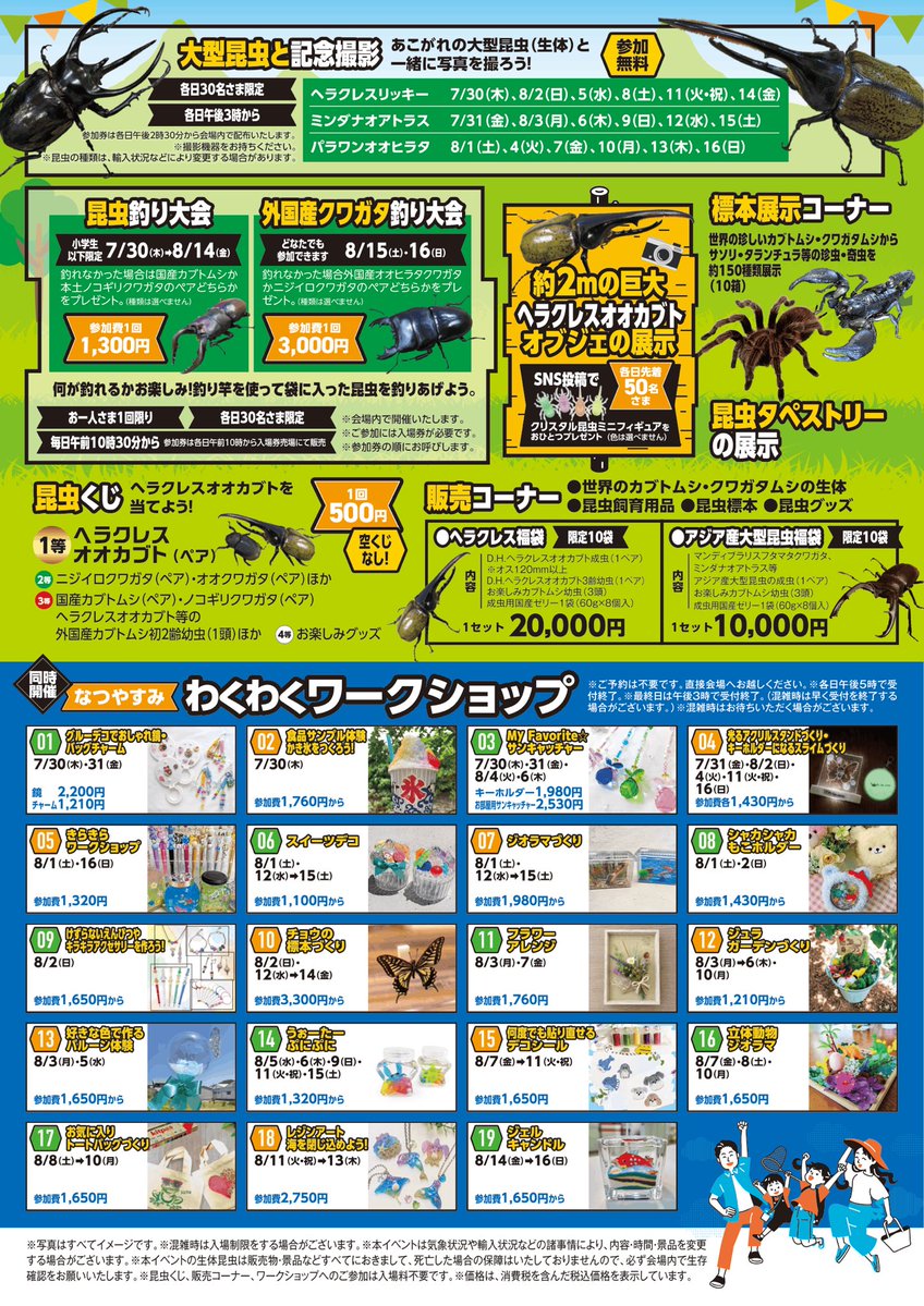 kimino_insect's tweet photo. 8/2,8/12,8/13,8/14は近鉄百貨店和歌山店にて蝶の標本ワークを行います🦋 https://t.co/XtNozcSADv