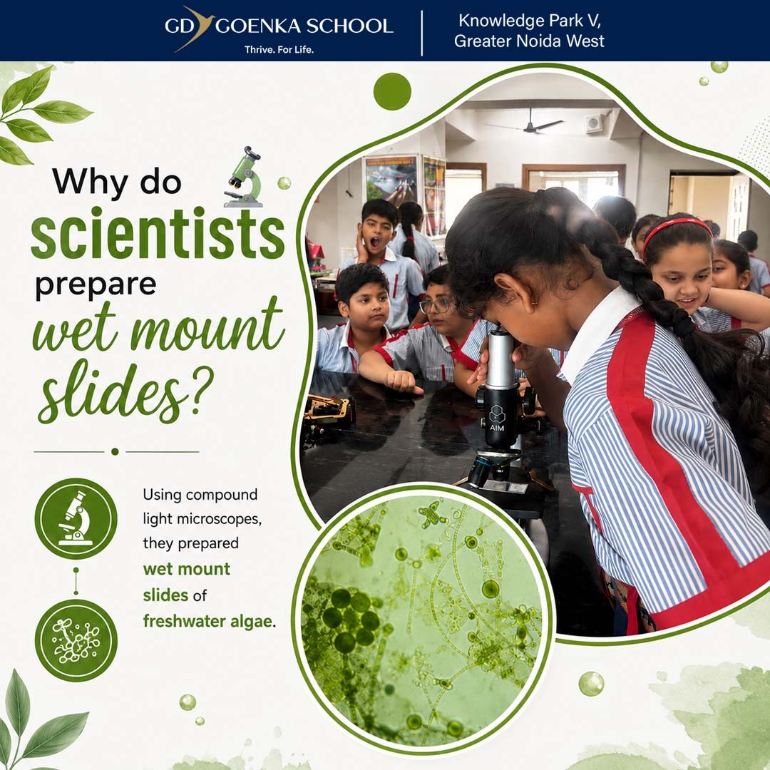 gdgoenkainnoida's tweet photo. Who knew pond scum could look this amazing? 🟢🔬✨
Our young scientists explored freshwater algae under compound light microscopes, uncovering the hidden wonders of the microscopic world!
#YoungScientists #ScienceLab #STEMEducation #MicroscopeMagic #HandsOnLearning https://t.co/qJG7E1jjFb