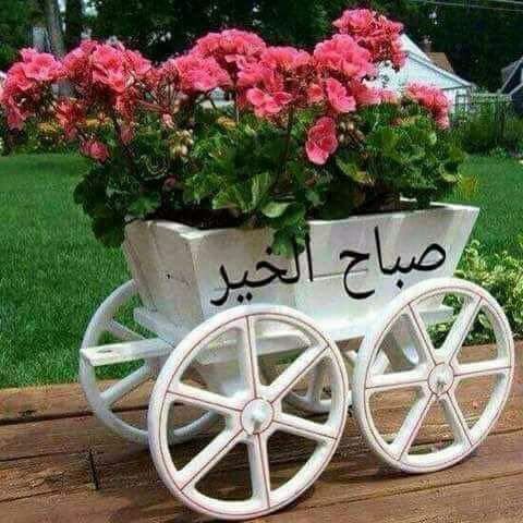hudaalriami's tweet photo. @littlelegend21 https://t.co/jOw5hLlYjY