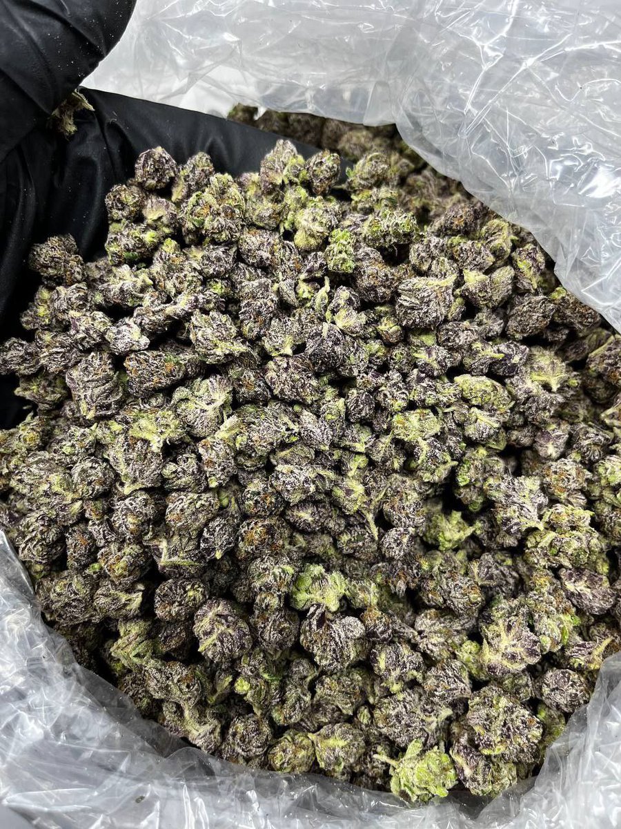exoticdepot's tweet photo. How much would you pay for a pound ?
Whatsaap. +1 (607) 261‑2150

https://t.co/9WakX8BwdP https://t.co/xP2TOGP58c