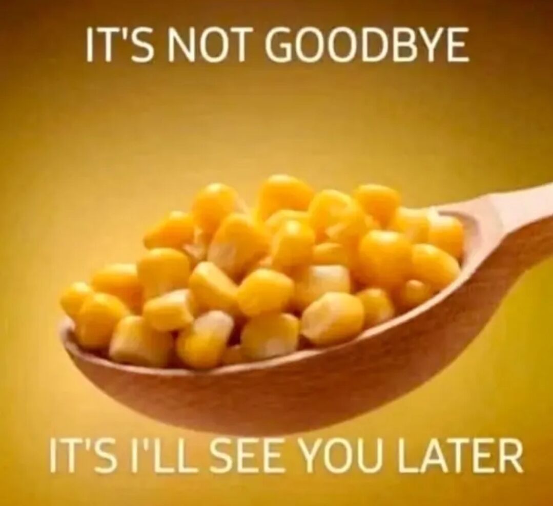 WholesomeMeme's tweet photo. https://t.co/90bQ2gNYAc