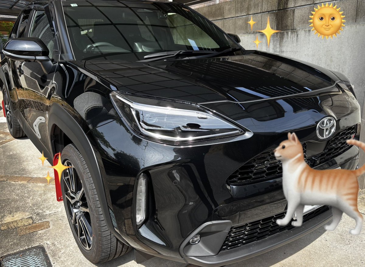 piyocchi's tweet photo. 炎天下洗車したぜ🚗✨️
#ヤリスクロス https://t.co/ZTZjyo6jCc