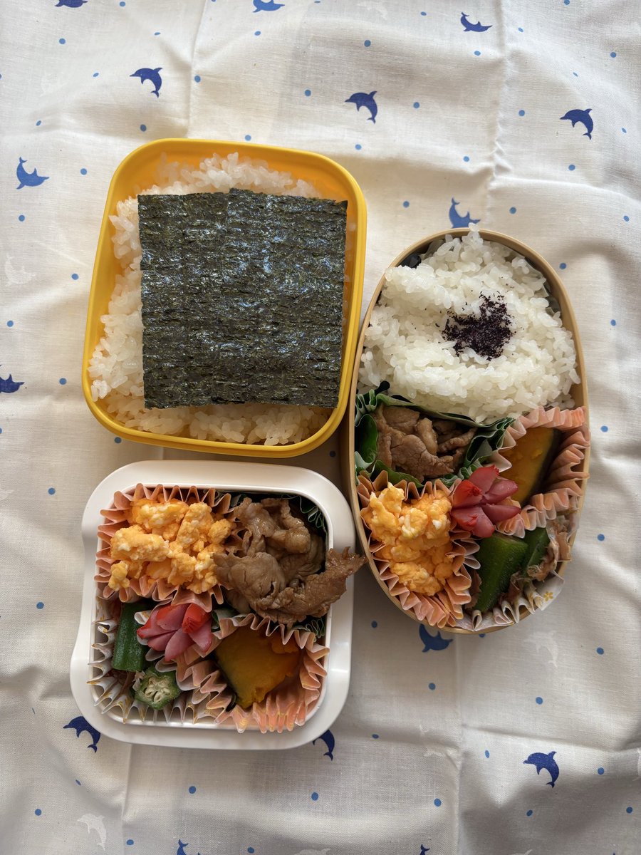 9498casa's tweet photo. 今日のお弁当🍱‼️
今日は２つ‼️

やっと金曜日、と思ったけど、シフトだからまだまだ続く〜

#お弁当
#お弁当記録 https://t.co/IME3JBl9Vm