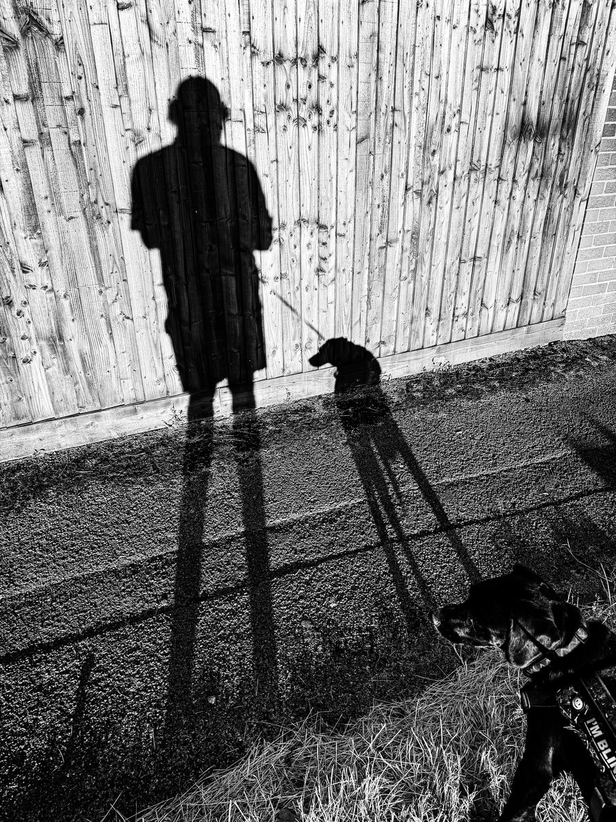jonah_uk's tweet photo. Morning walk 📷 https://t.co/1vg7C1Bouy