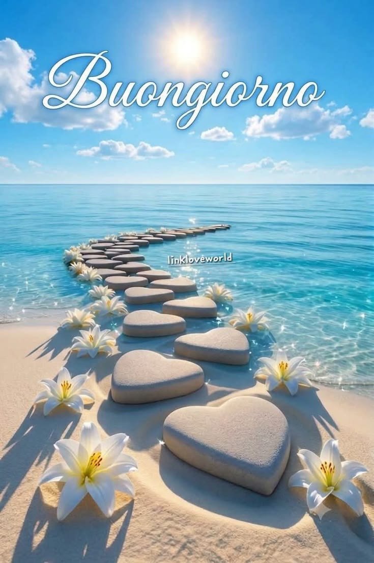 MariaGr67429100's tweet photo. Ed anche luglio volge al termine. Spero che agosto sia migliore. Buongiorno e buon caldo ☀️. #DemetÖzdemir 🍀 https://t.co/ARsl993sZT