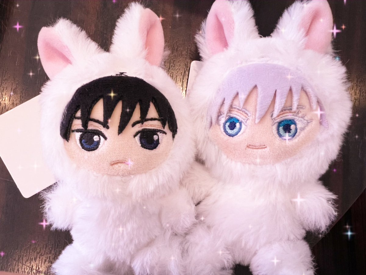 coco_taro_ST's tweet photo. GIGO🐰恵と悟ゲットできたっ💚🩵嬉しい🥹 https://t.co/ejuhn0P8NI