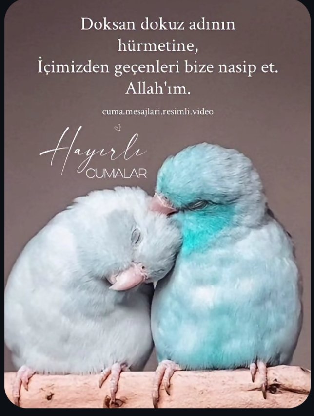 osman26082007's tweet photo. #hayırlıcumalar https://t.co/OEIYPm0Pps
