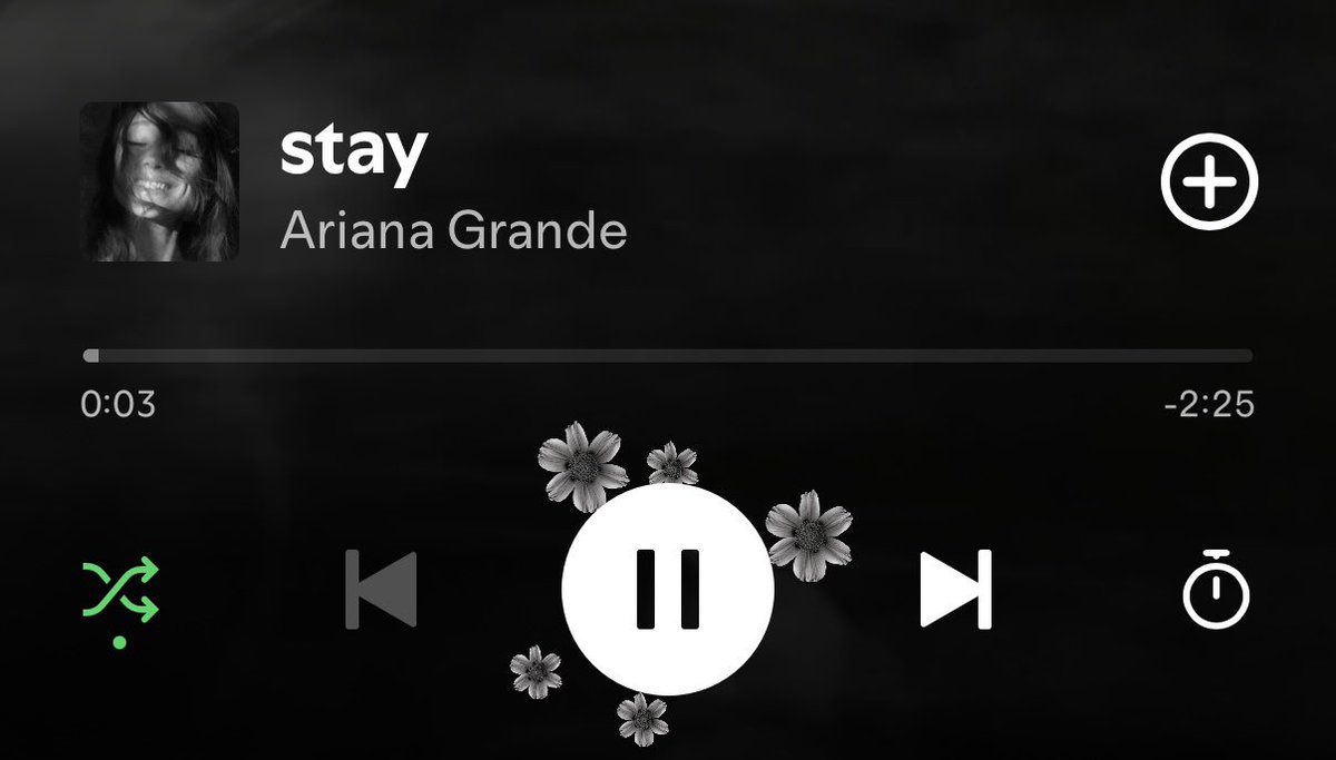 tpwkash1's tweet photo. the petals round the play button 🥹 https://t.co/kn5J6Ipobu